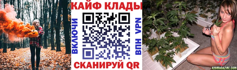 Купить наркотики Чадан Гашиш  COCAIN  МЕФ  МАРИХУАНА 