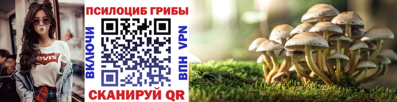 Псилоцибиновые грибы прущие грибы  Чадан 